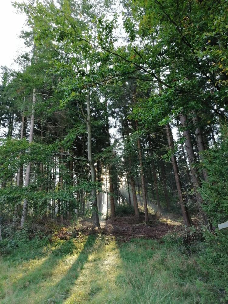 Landhotel Haagerhof Aigen im Muehlkreis ภายนอก รูปภาพ