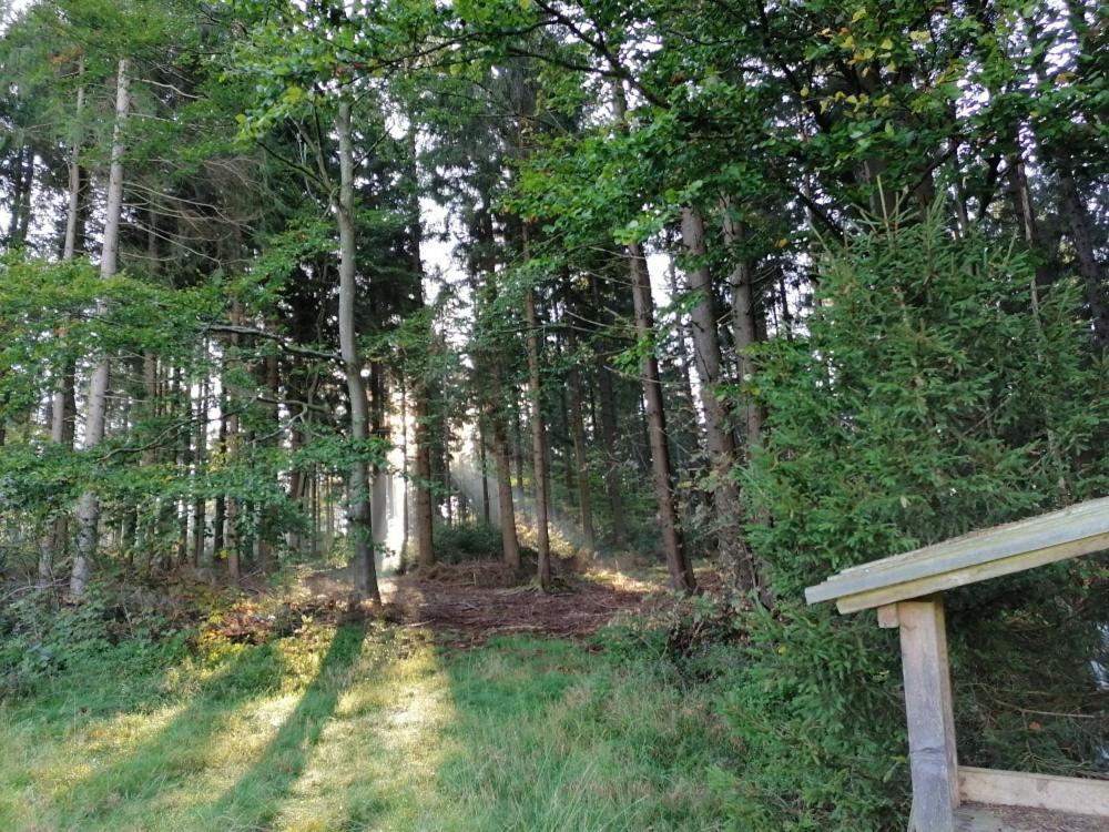 Landhotel Haagerhof Aigen im Muehlkreis ภายนอก รูปภาพ