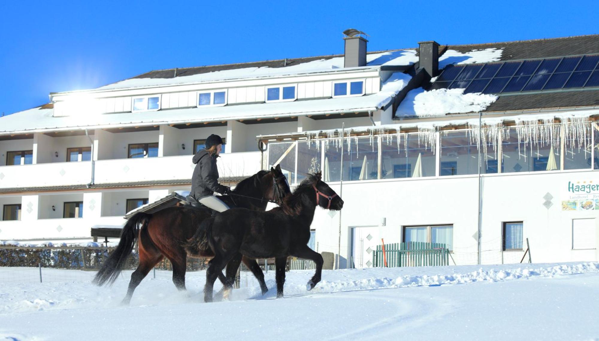 Landhotel Haagerhof Aigen im Muehlkreis ภายนอก รูปภาพ