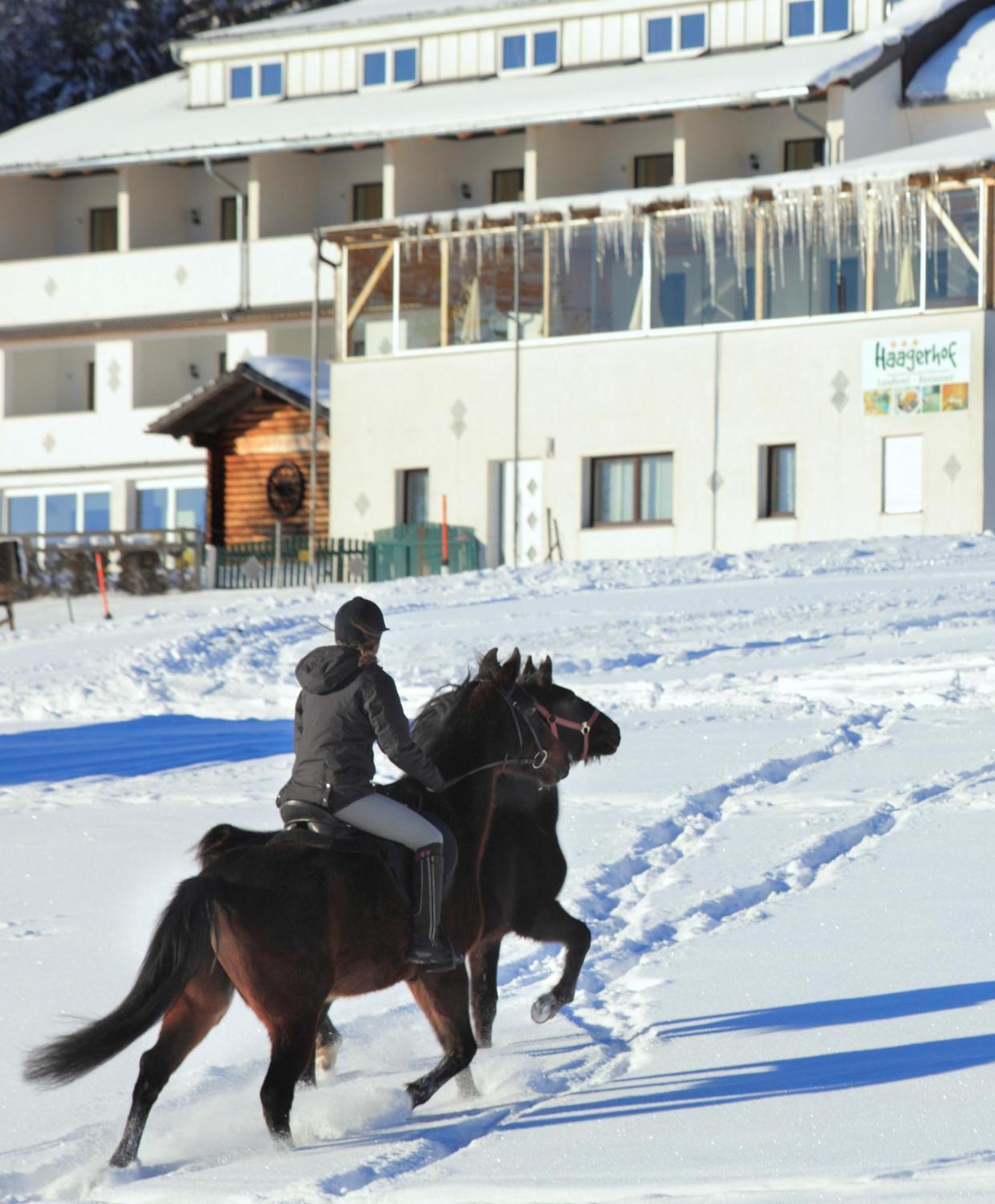 Landhotel Haagerhof Aigen im Muehlkreis ภายนอก รูปภาพ