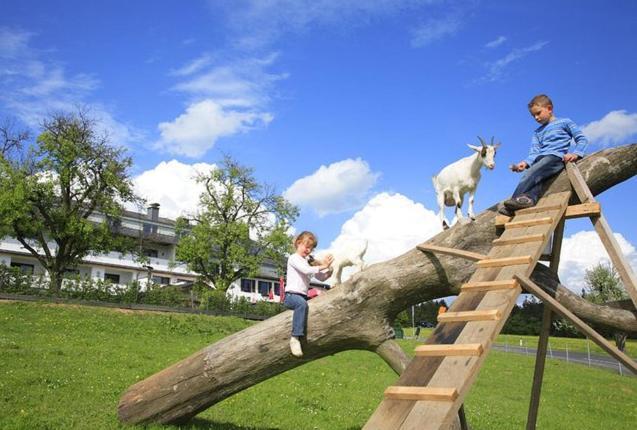 Landhotel Haagerhof Aigen im Muehlkreis ภายนอก รูปภาพ